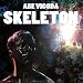 Skeleton