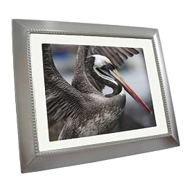 Opteka DM-TFT10 10.4-Inch Metal Digital Picture Frame with 1GB Built-In Memory (Silver)