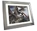 Opteka DM-TFT10 10.4-Inch Metal Digital Picture Frame with 1GB Built-In Memory (Silver)