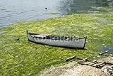 IMAGE OF Wallmonkeys Peel and Stick Wall Decals - Old Ship - 48