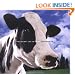 The Secret Life of Cows