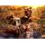 Ravensburger Puzzle - At the Water Hole (2000 pieces)