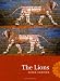 Search : The Lions (Phoenix Poets)