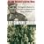 Easy Company Soldier: The Legendary Battles of a Sergeant from World War II's "Band of Brothers"
