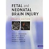 fetal and neonatal brain injury