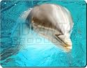 DOLPHIN Close-Up Mouse Mat