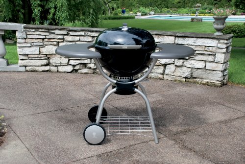 Weber 1361001 Platinum One-Touch 22-1/2-Inch Kettle Grill, Black