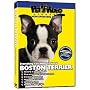 BOSTON TERRIER DVD: Everything You Should Know + Dog & Puppy Training Bonus