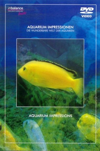 inbalance basic Aquarium Impressionen