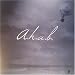 a.h.a.b. a.h.a.b.