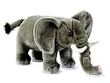 Elelphant 10" Stuffed Plush By Ganz