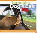 Music for Driving with Your Dog