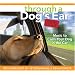 Through a Dog's Ear - Driving Edition