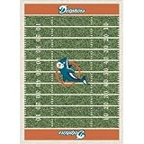 Miami Dolphins 3'10" x 5'4" Premium Field Rug
