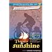 My favourite cycling books