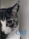 Cat. Box of 20 Notecards