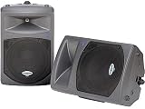 Samson dB300a 12 2 Way Powered PA Cabinet