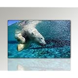 Wandbild xxl (Eisb�r 100x60cm) Deko Bild auf Leinwand. Ausf�hrung sch�ner Kunstdruck auf echter Leinwand und Keilrahmen. Bild Motiv (Eisb�r Wasser blau wei�) Made in Germanyvon "Nix-Art Wandbilder"