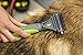 JANNIK Petio Basics Pet Grooming Dematting Deshedding Comb with 2-Sided Rake Removes Tangles and Matted Hair from Dogs and Cats