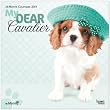 king charles hunde