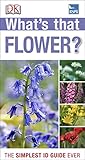 What's that flower?