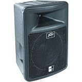 PEAVEY 15in 800W PRO LIGHT ENCLOSURE