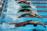 Backstroke Start - 18W x 12H - Peel and Stick Wall Decal by Wallmonkeys