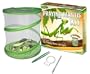 Fascinations GreenEarth Praying Mantis Kit