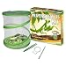 Fascinations GreenEarth Praying Mantis Kit