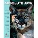 Absolute Java (4th Edition)
