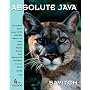 Absolute Java (4th Edition)