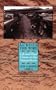 Across the Wire: Life and Hard Times on the Mexican Border