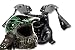 Helmet Gloves Goggles and Chest Protector Motocross Gear Set Green 238 (X-Large)