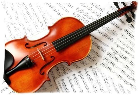 Violin with Music Note Pattern Zippered Pillow Case Cover Soft Rectangle Pillowcases Size:20"x 30" (Twin Sides)