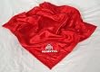Ohio State Baby Blanket