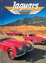 Jaguars (High Performance (Capstone))