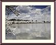 Cherry Blossoms, Washington Monument, Old Post Office Tower Photograph - Beautiful approx. 24"x28" Framed & Matted - 1 7/8" Walnut Toned Wood Frame - Photographic Print by Carol M. Highsmith