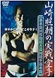 山崎照朝の実戦空手 [DVD]
