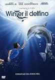 L' Incredibile Storia Di Winter Il Delfino