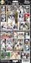 Pet Qwerks S41 Shih Tzu Dog Sticker