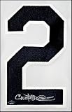 Carlos Pena Autographed Tampa Bay Rays Jersey