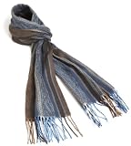 V Fraas Men's Paisley Stripe Muffler