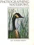 Photographing waterfowl: Techniques for the advanced amateur and professional