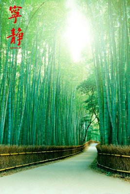 Pathways (Tranquility, Bamboo) Black Wood-Mounted Art Poster Print - 24