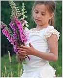 ~ Eden's Bouquet *Port of Morrow* Ruffle Sleeve Peasant Tee