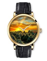 SPRAWL Aanalog Fashion Series Gold Ladies Watches of Genuine Black Leather Strap,Unique Wrist Watch for Women Girls Designed with The city of pines