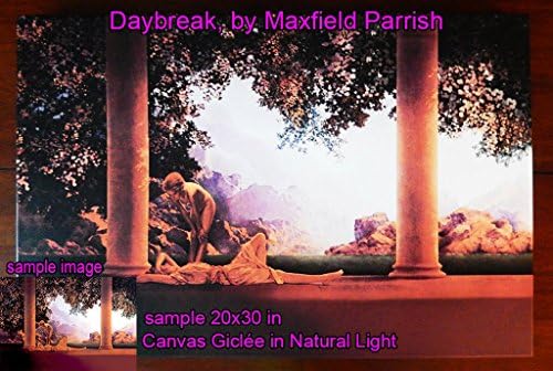 Captain George H. Coussmaker, by Sir Joshua Reynolds, 12x18 Canvas Giclée, Gallery Wrap