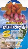 日光種苗　琉球わけぎ　たねいも