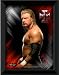 OFFICIAL WWE Triple H Framed Studio Print 16x12 (406x305mm)