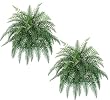 TWO 32" Artificial River Fern Hanging Bushes